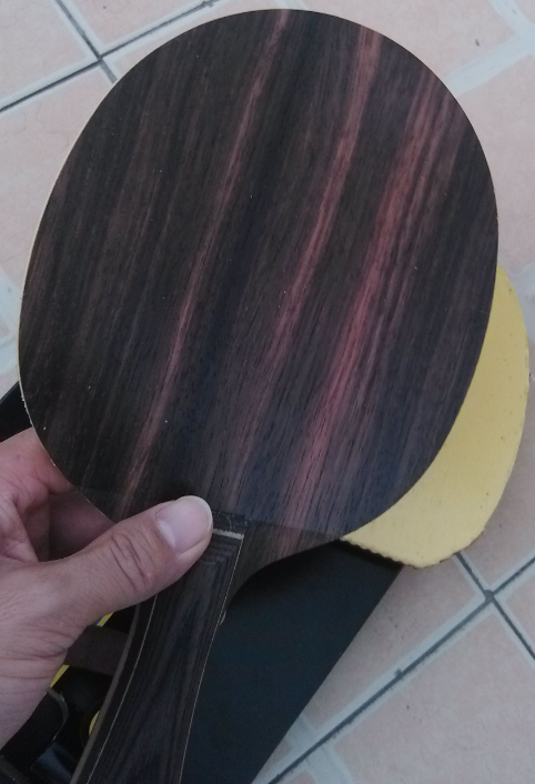 �����ѷ�������5ŷ�棬84��