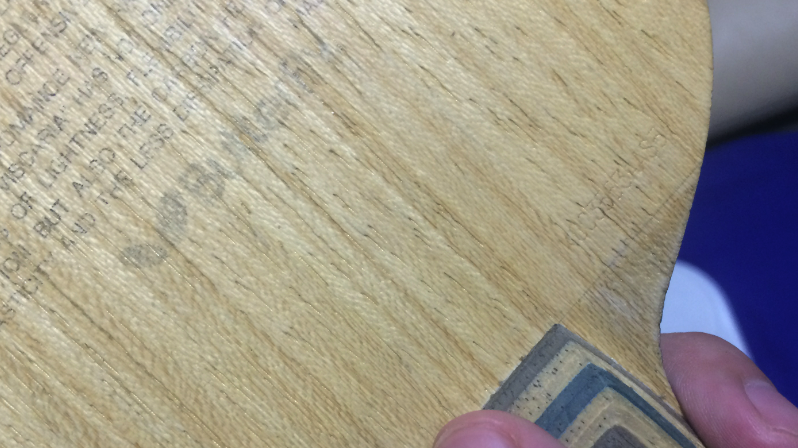 ��һ��k��ĺ���viscaria��������������