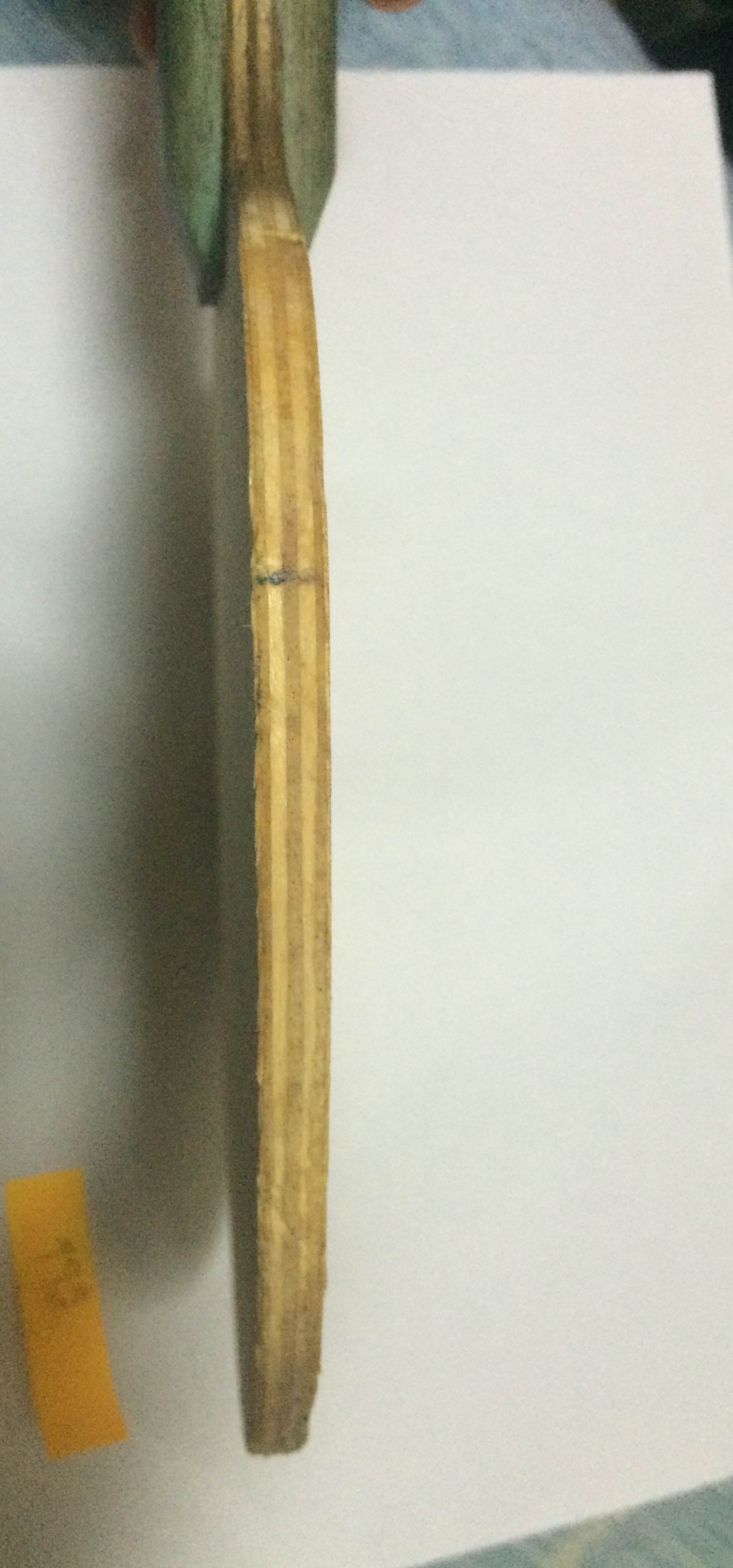 ���ϰ�K�����INNERFORCE ZLC ��������ZLCͬ�750Ԫ��˳�ᣬL�����SK7��260Ԫ��˳�ᣬQQ532189618