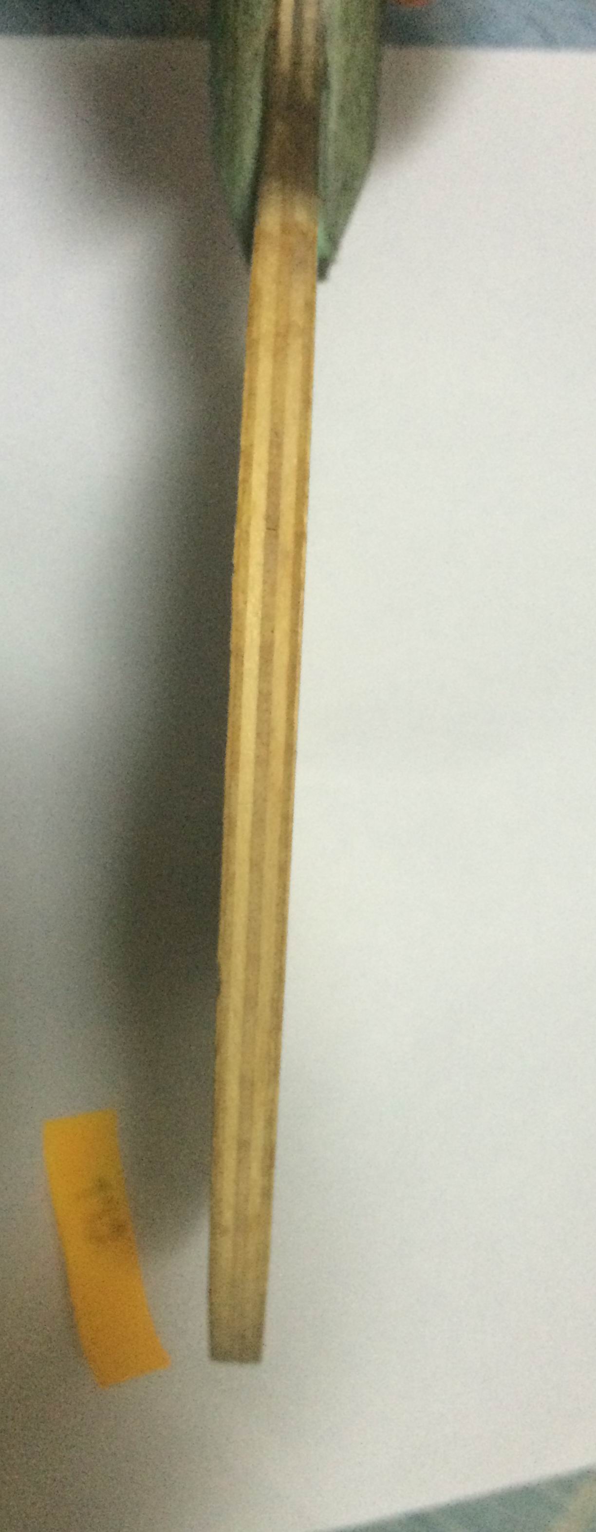 ���ϰ�K�����INNERFORCE ZLC ��������ZLCͬ�750Ԫ��˳�ᣬL�����SK7��260Ԫ��˳�ᣬQQ532189618