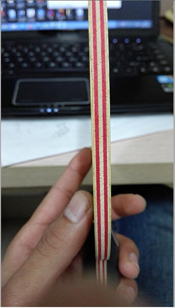 ����¡������˼��ε��������ߣ�98��