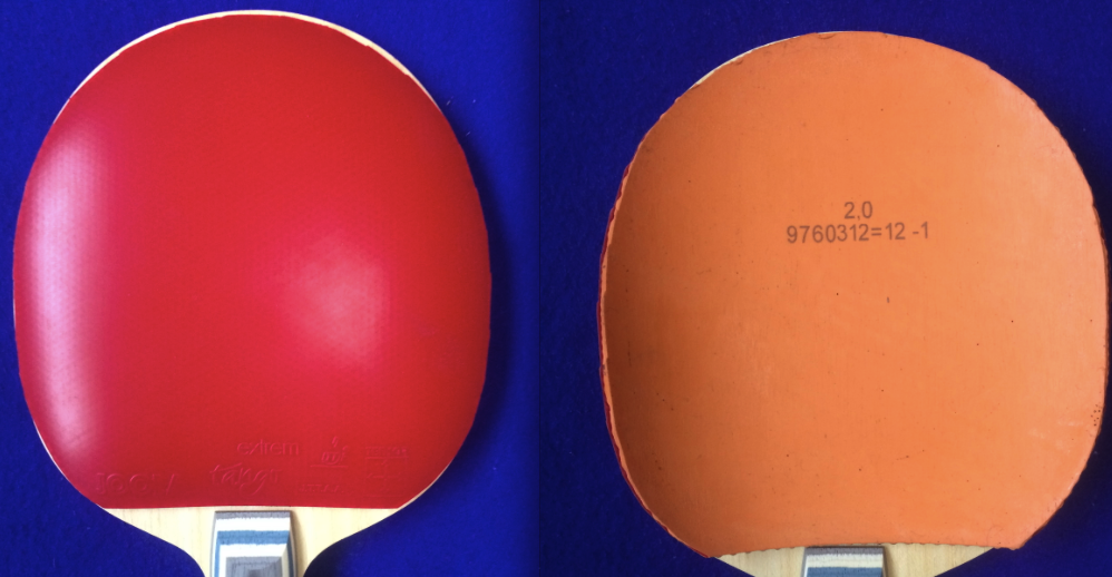 ��һ��Ѻ����׽���c1����ţ�����壬���𣬶���̽�꣬�칭������ɫ��һ��������������