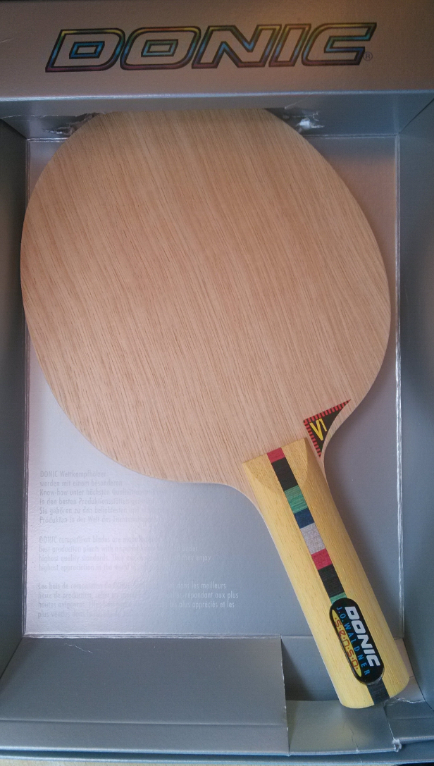  ˮΰ DONIC Waldner senso v1