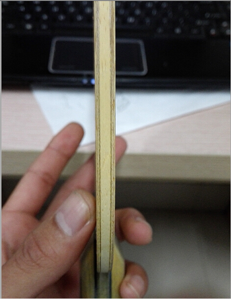 ����¡���Ѫ����ѯ���ٳ���