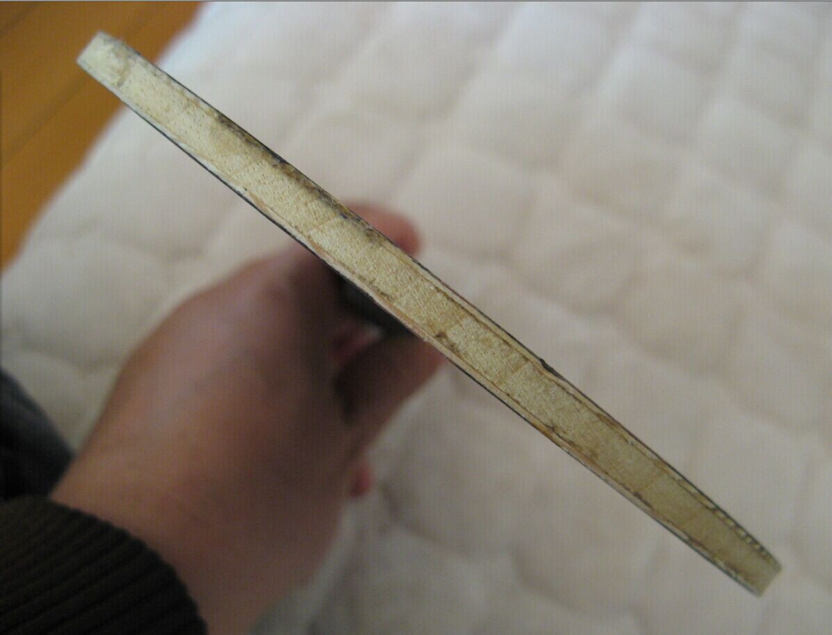 �л���̴��