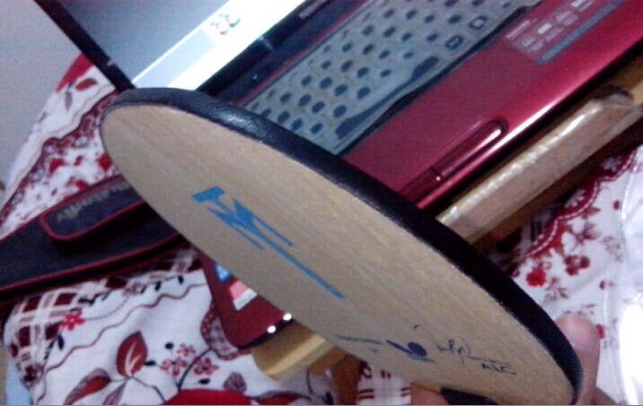 �������ѳ� L�벨��ALC����һЩ��Ƥ ���� ����Ż�