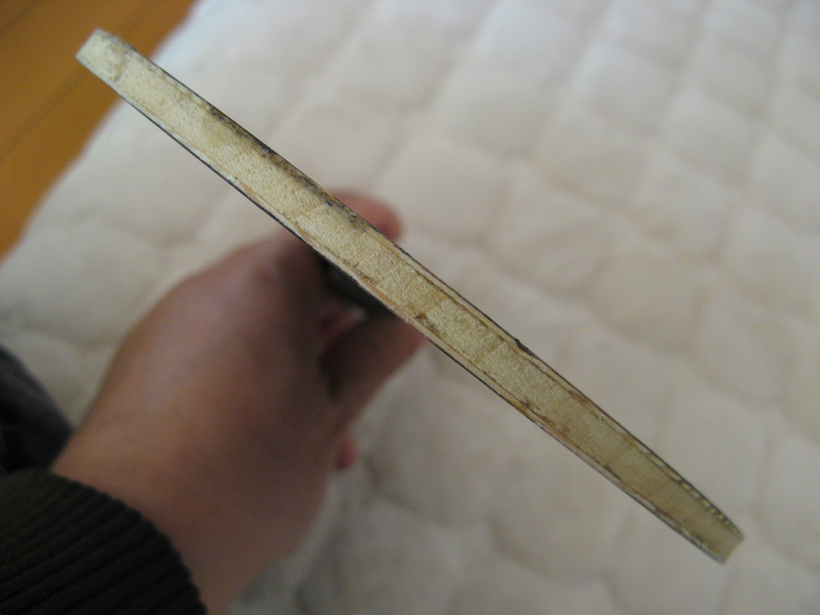 �л���̴��