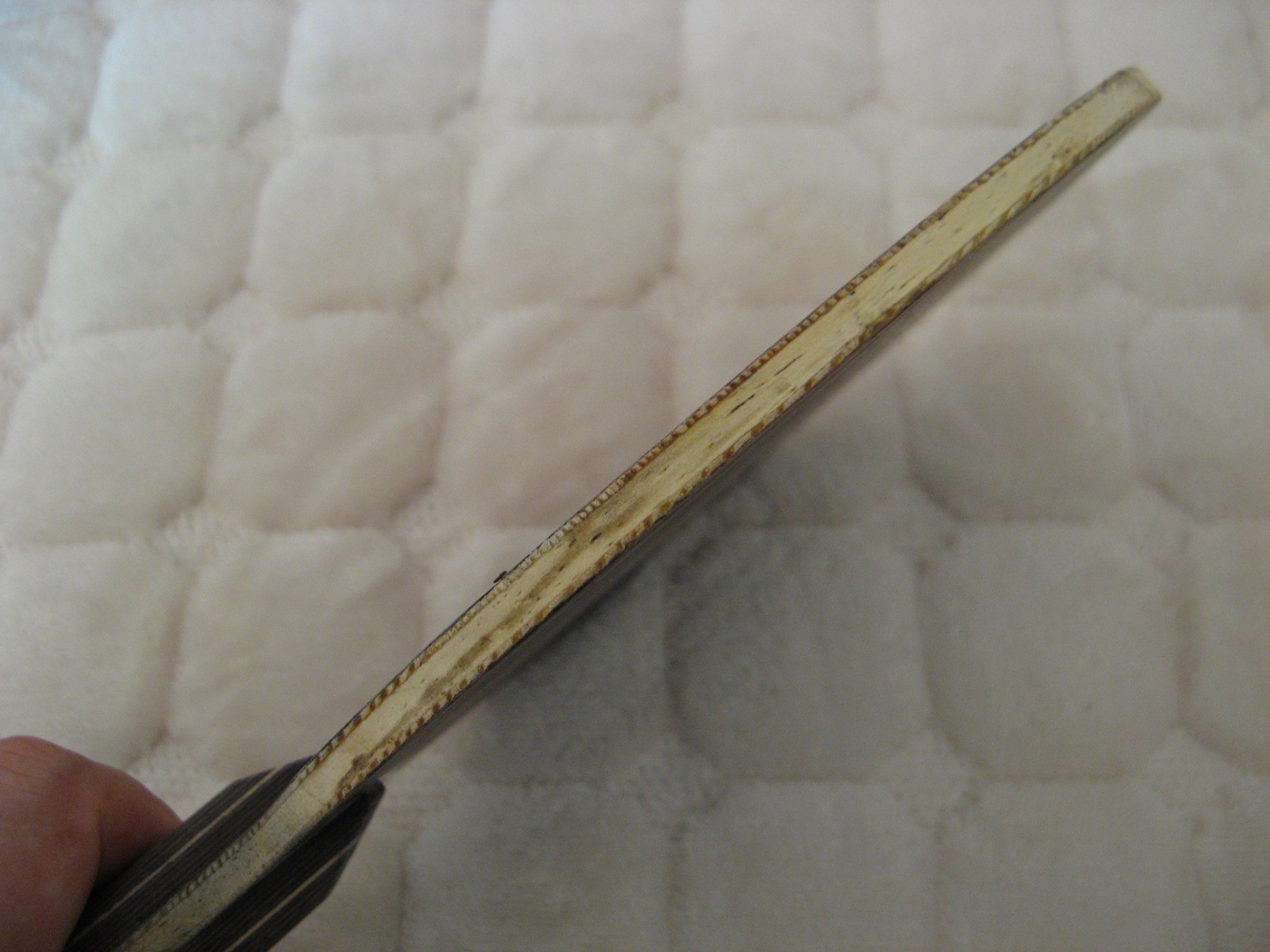 �л���̴��