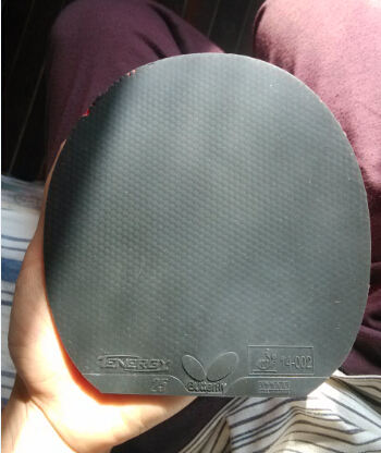 9.5°ŷ֮eurostar clubͺT25