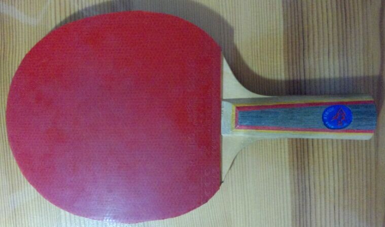 100�����մ���Ƥ�Ͷ���