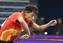 HEXER��VEGA JAPAN