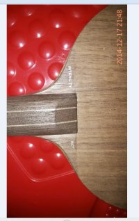 �����ѳ�������˹�ٿ���ǿ��ľFL300����֧��������