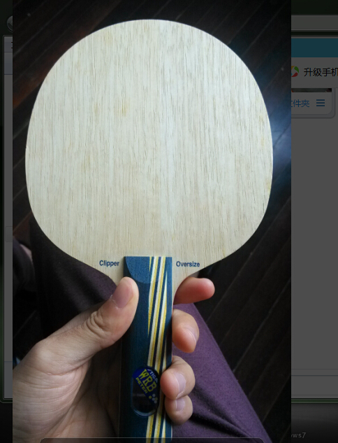 ����9.5���ϻƱ�cl wrb st�Ӵ��