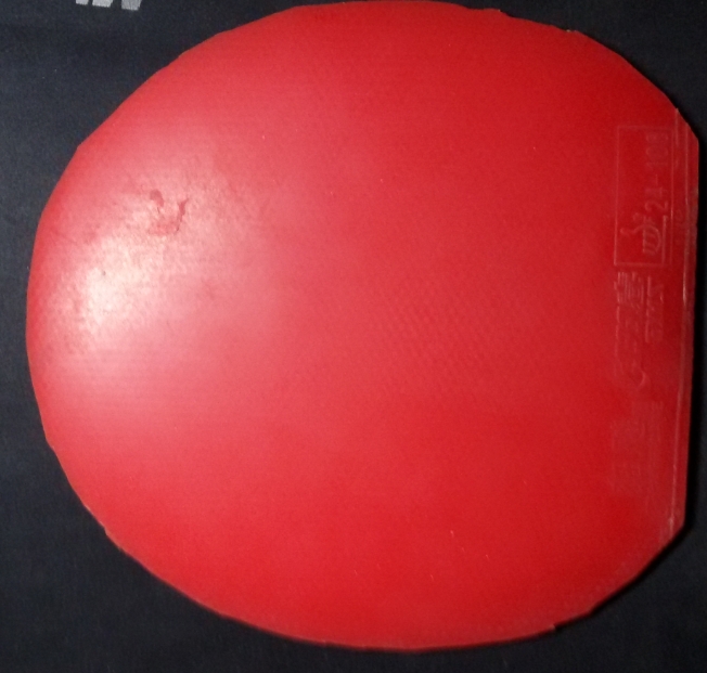 ����Ƥ������