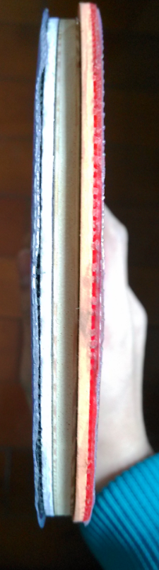 ����ocʡ�񡣡�249֧����