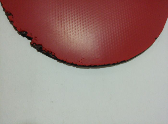 V79-01273ڡ