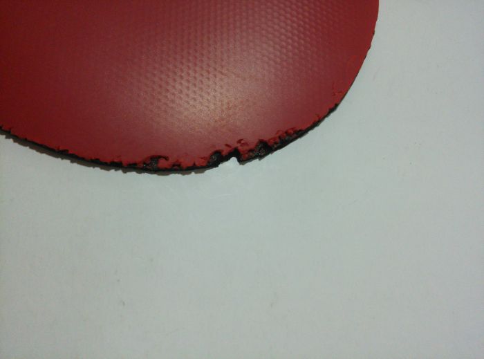 V79-01273ڡ