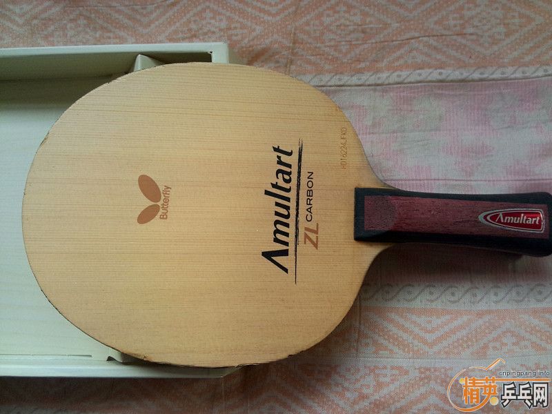 ĩ壬ѪͣAMULTARTڣִ