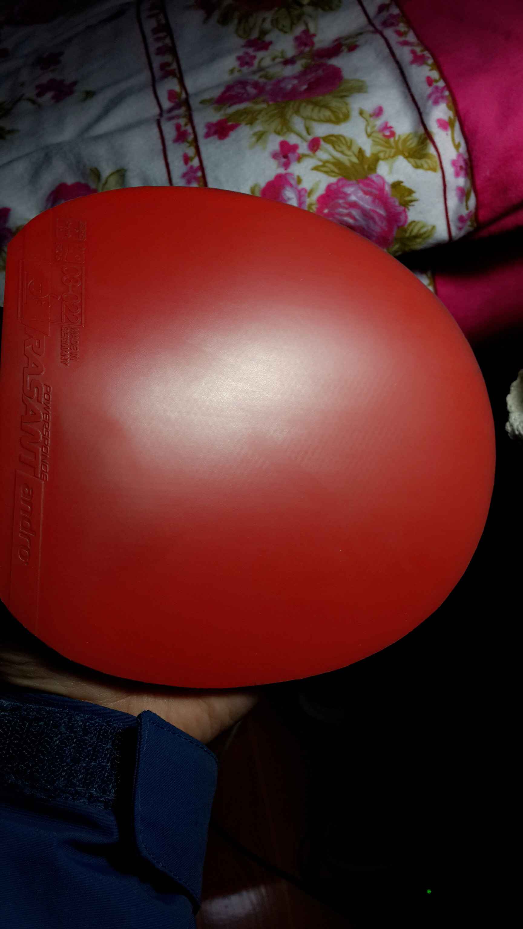 ��һ�ź�ɫ��ɷ���ͣ���ɫ�����ԣ�����Ȥ��������