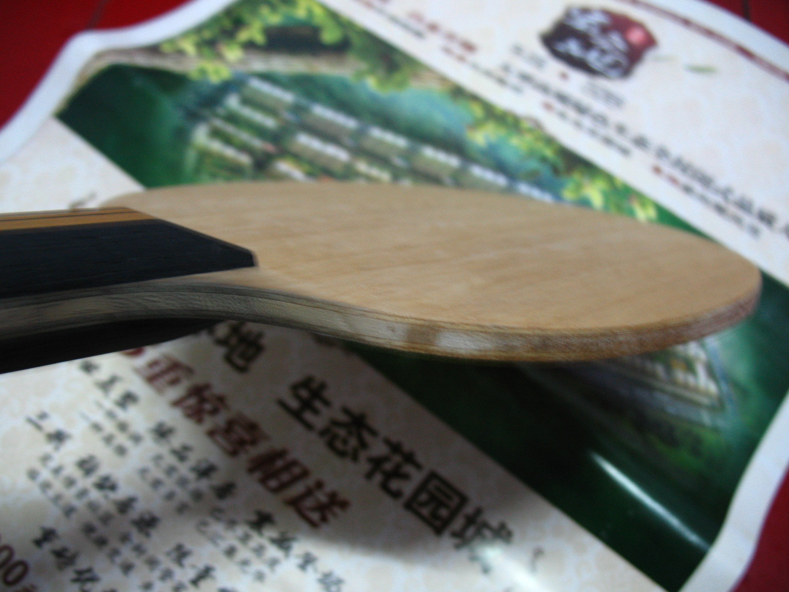 ��9��������ľ����ST�� 450�������ֽ����ӻ���