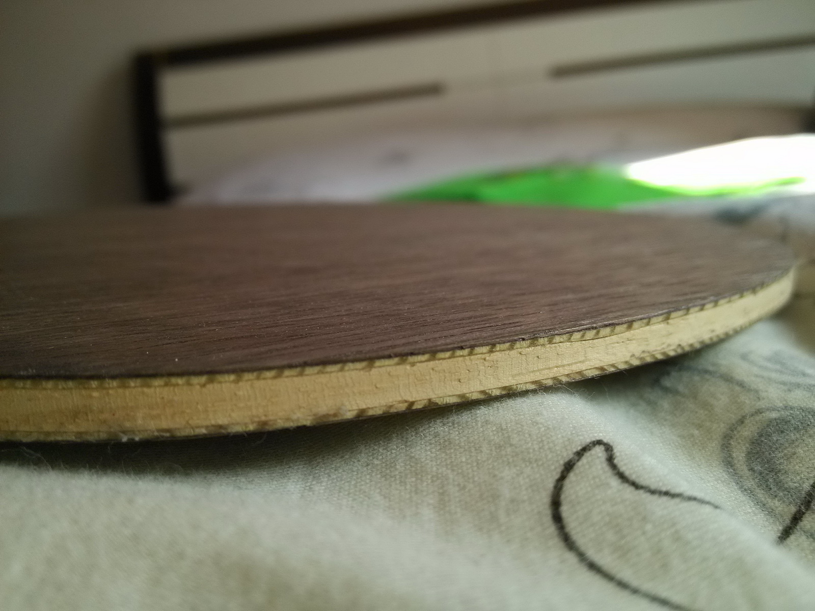 ��9.5���л���ľOC