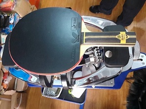 ��ʮȫʮ���ĳ����ż̿ƣ���T05��T64