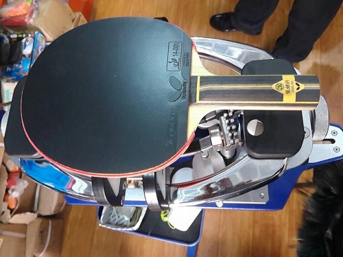 ��ʮȫʮ���ĳ����ż̿ƣ���T05��T64