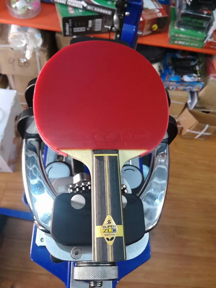 ��ʮȫʮ���ĳ����ż̿ƣ���T05��T64