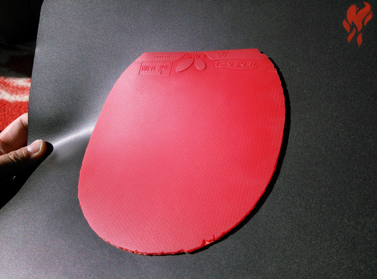 ��������  neo������ʡ��2.15/40    �л�������ʡ��2.2/40  �������������2.2/40 ��ɫT05