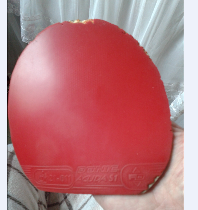 ��S1��������SP���տ�