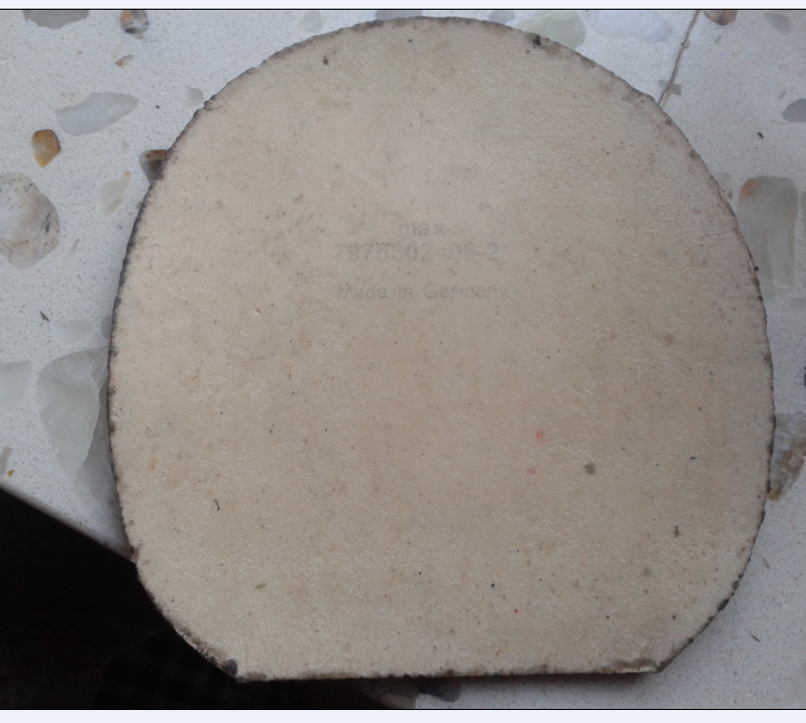 ��S1��������SP���տ�