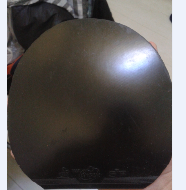 ��S1��������SP���տ�