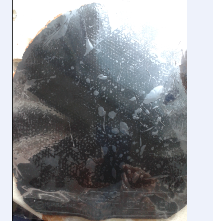 ��S1��������SP���տ�