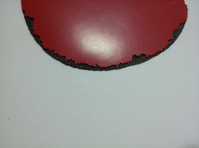 ��������V��79-008��