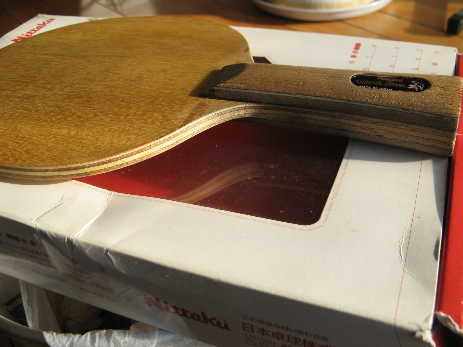 ������Բ�����ִ���