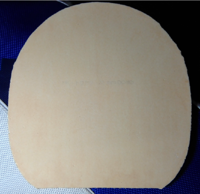 ����������ٶ�Bryce speed��ɫ2.1