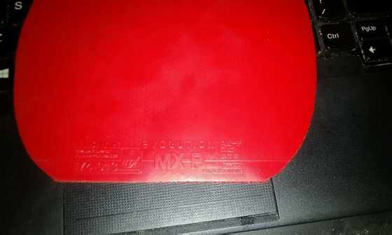 ������MXP��350���ʳ�