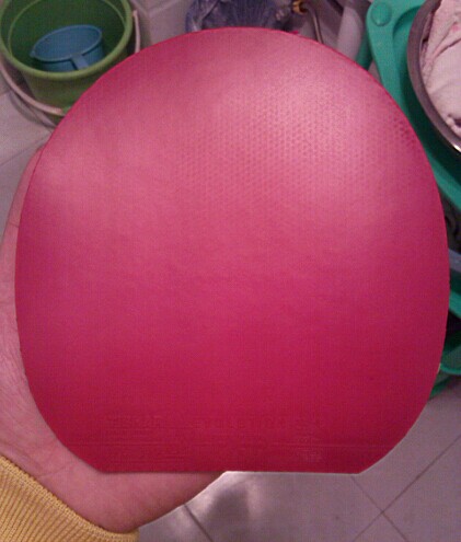 ͦ��FXP����90����