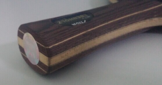 ��stiga �л� ��̴�� FL