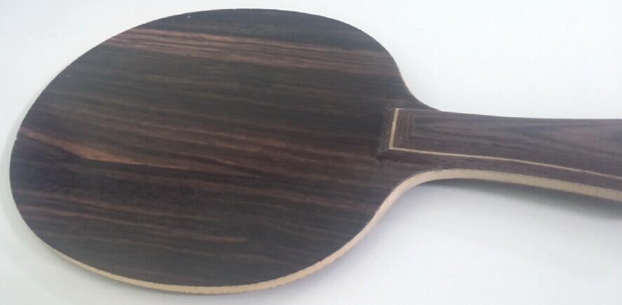 ��stiga �л� ��̴�� FL