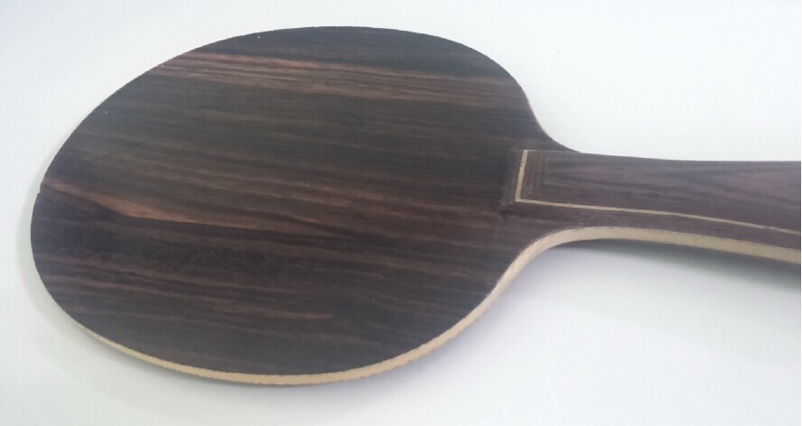 ��stiga �л� ��̴�� FL