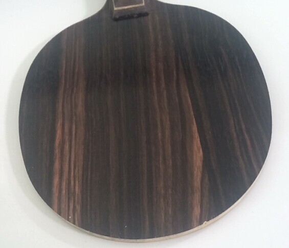 ��stiga �л� ��̴�� FL