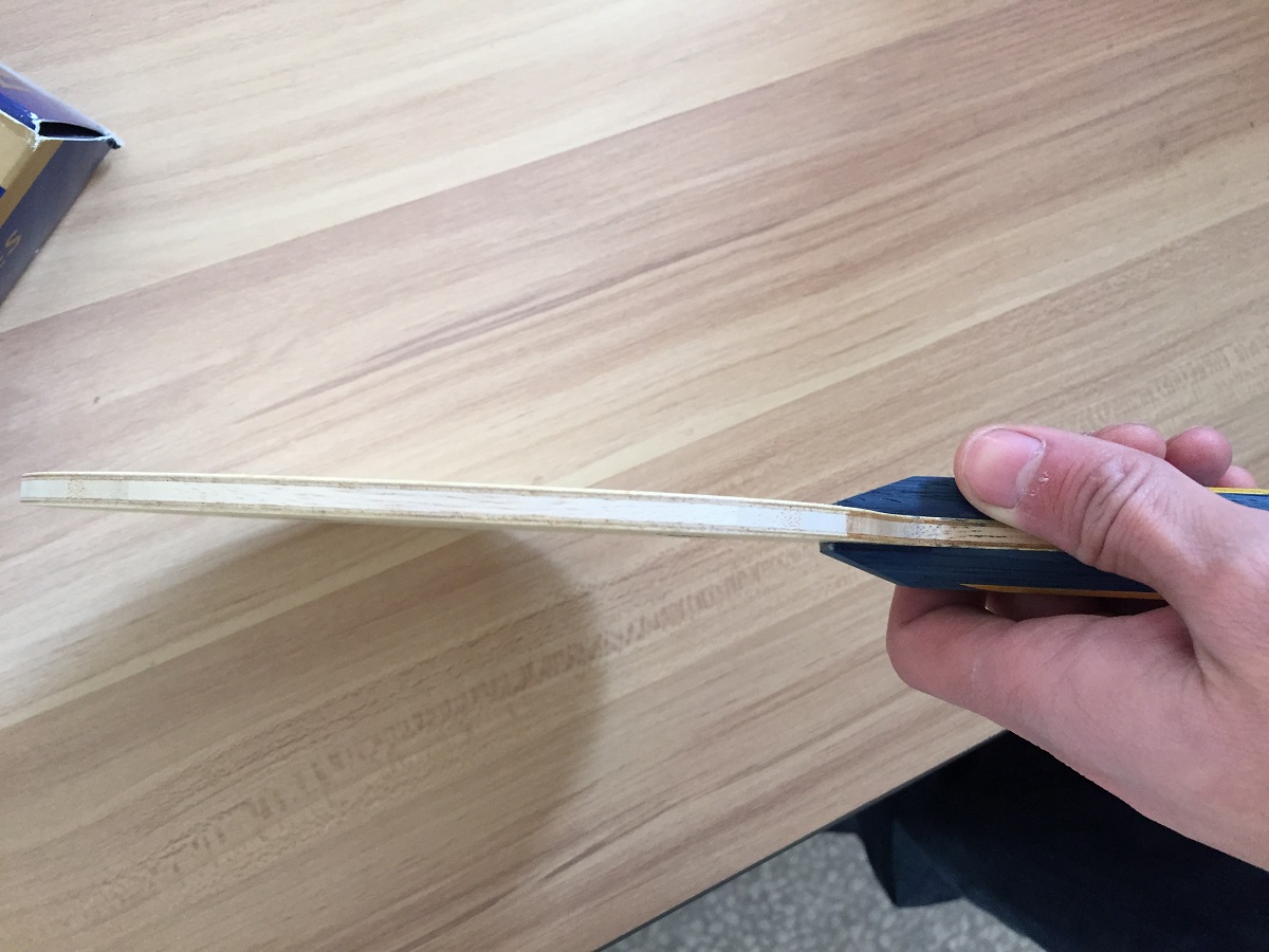 ��M��BOOL ZLF ST