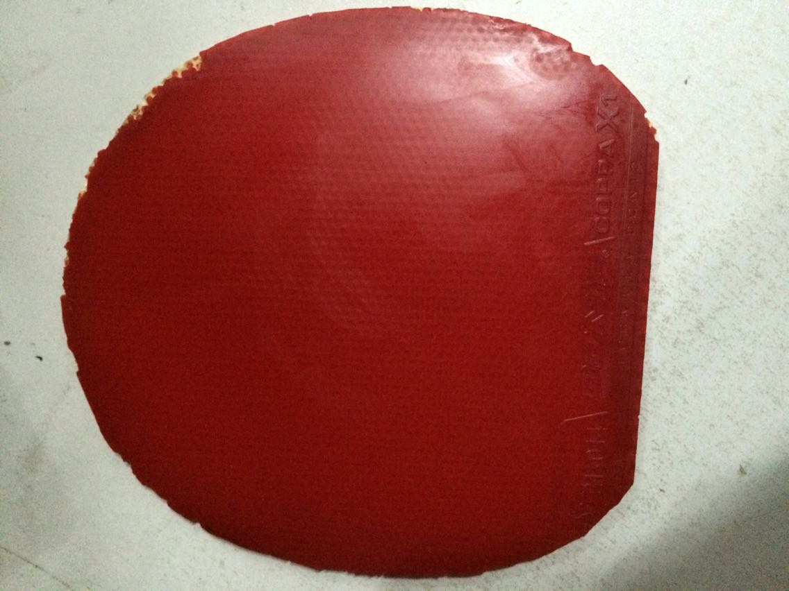 [ԭ��]��Ʒ�л�˹�ٿ�AE������Ŀ齺Ƥ��һ����350����