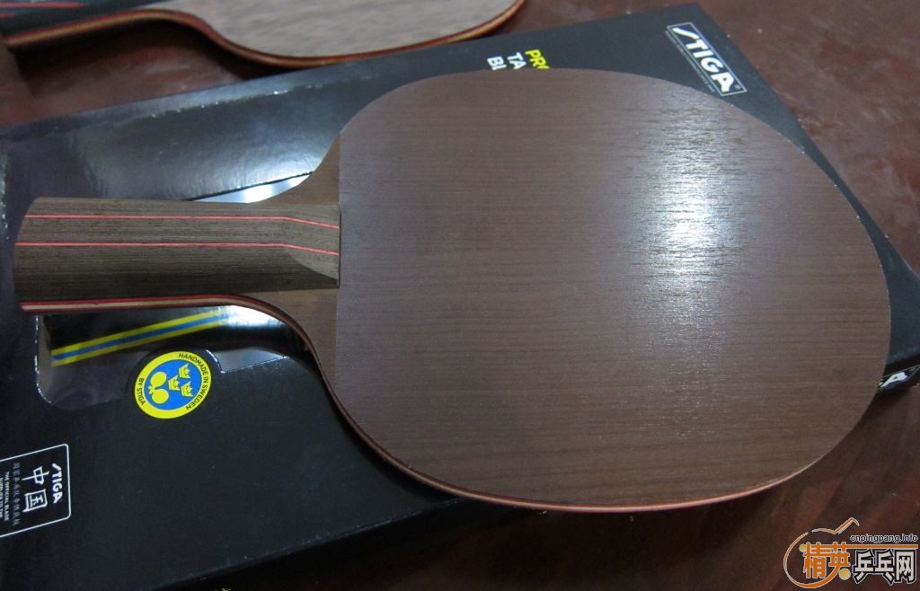 �� �º��Sense7.6  ֱŷ��85��