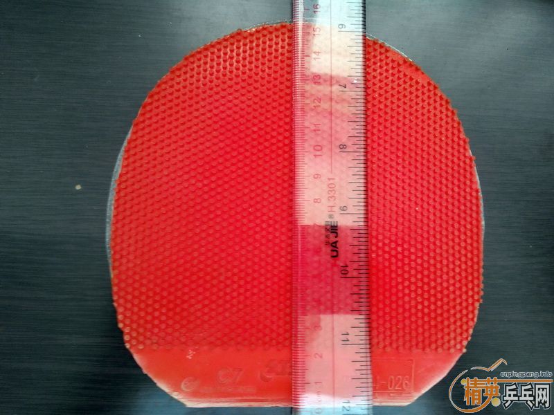 �����Ž�Ƥ�����ף�