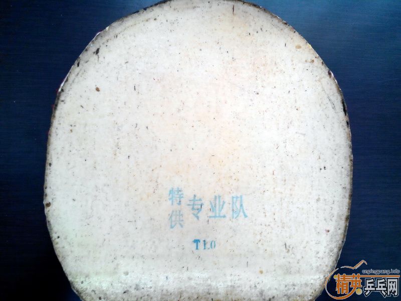 ���Ź���110Ԫ��