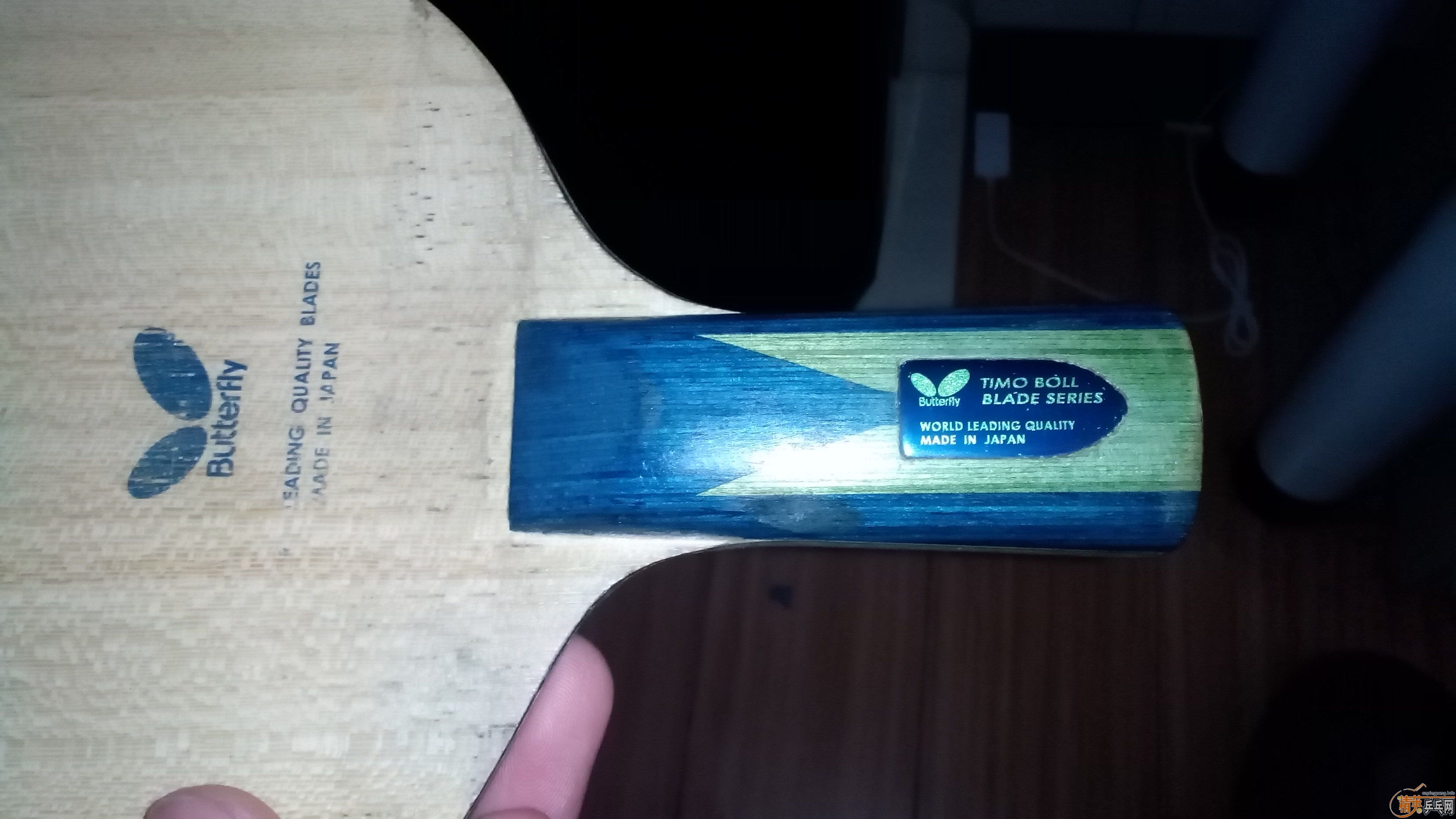 ��8���º���BOLL������T5000��������3���ˣ�