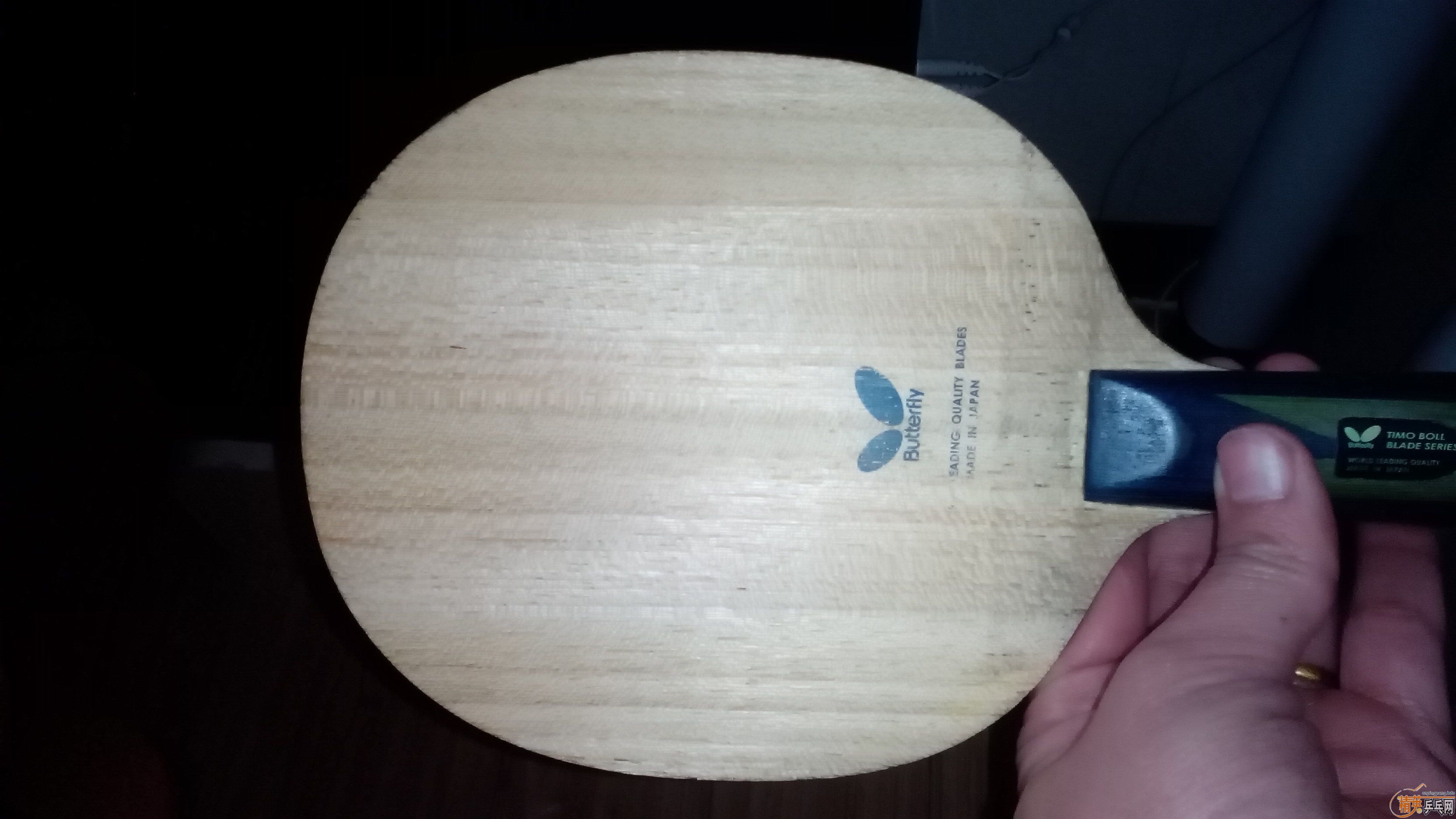 ��8���º���BOLL������T5000��������3���ˣ�