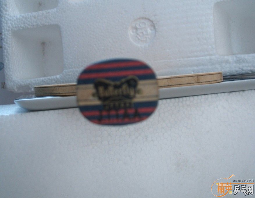 �������ƺ���ST  GERGELY 21